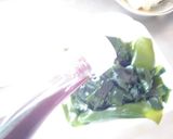 最速の生わかめポン酢作り方14写真