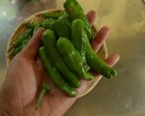 茹でししとうのマヨネーズがけ作り方1写真