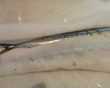 秋刀魚の塩焼きレモン大根おろし添え作り方1写真