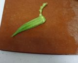とっても便利！オクラの冷凍法作り方2写真