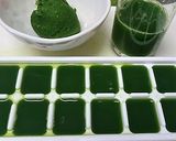 ケールのスムージー作り方4写真