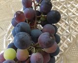葡萄のクラフティ ココナッツ風味作り方1写真