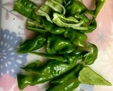 トロッと柔らかい！簡単茄子の煮びたし作り方2写真