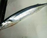 簡単!秋刀魚DE美味しい湯煮♪(尾頭付)作り方1写真