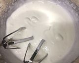 簡単おいしいセミフレッド作り方14写真