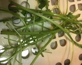 モロヘイヤのスープ作り方5写真