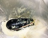 美味しいなすの挟み揚げ作り方9写真