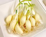 発芽にんにくの大葉みそ巻き天ぷら作り方1写真