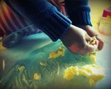 フィンランドのシンプルなブルーベリーパイ作り方1写真