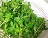 覚書★豆苗と鶏ささみの塩レモンサラダ作り方3写真