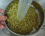 自家製もやし作り方7写真