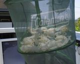 甘ったるくない 切り干し大根の煮物!作り方3写真
