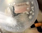 鯖の煮付け作り方3写真