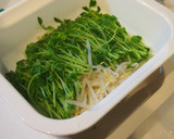 レンジで簡単！豆苗ともやしのナムル作り方3写真