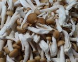 簡単♪鶏むね肉 ひじきと蒟蒻ワカメの煮物作り方3写真