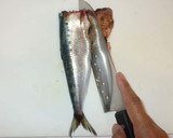 基本・いわしの梅煮♪簡単さばき方作り方3写真