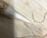 きんびらごぼうベーコン入り作り方1写真