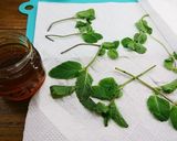 ミント保存方法&何にでもミントメープル作り方1写真