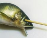 魚グリルで簡単！料亭みたいな鮎の塩焼き♪作り方3写真