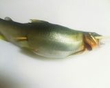 魚グリルで簡単！料亭みたいな鮎の塩焼き♪作り方4写真