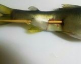 魚グリルで簡単！料亭みたいな鮎の塩焼き♪作り方5写真