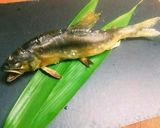 魚グリルで簡単！料亭みたいな鮎の塩焼き♪作り方11写真