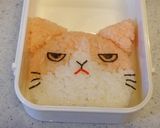キャラ弁♡簡単に出来るふてニャン弁当！作り方9写真