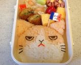 キャラ弁♡簡単に出来るふてニャン弁当！作り方10写真