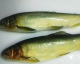 魚グリルで簡単！料亭みたいな鮎の塩焼き♪作り方2写真