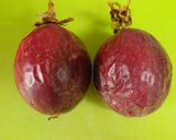 パッションフルーツのカッペリーニ作り方1写真