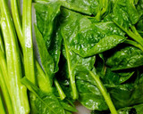 琉木綿豆腐とつるむらさきの炒め作り方1写真