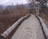 生湯葉の鮪巻き作り方4写真