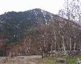 生湯葉の鮪巻き作り方7写真