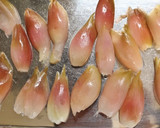 簡単♪美味♪茗荷ずしと茗荷のちらし寿司作り方2写真