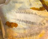底引きの味☆メギスの煮物作り方5写真