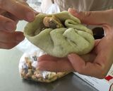 マスのチャンチャンおやき作り方8写真