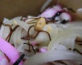 かまぼこ×玉葱の塩昆布胡麻酢和え作り方7写真