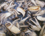 キノコと鮭の焦がしバター醤油炊き込みご飯作り方3写真
