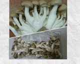 とっても便利！えのき茸の冷凍作り方12写真