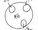 ロールパン作り方1写真