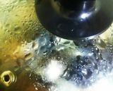 ムール貝とマッシュルームDEワイン蒸し♪作り方11写真