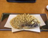 フィレンツェ茄子の天ぷら(団扇茄子)作り方15写真