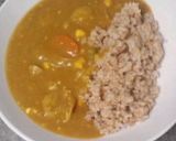 「ルー」を買わないで1から作るカレー作り方12写真
