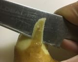 焼き茄子作り方17写真