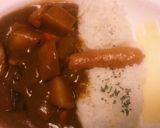 具が大きい(^o^)ダムチキンカレー作り方8写真