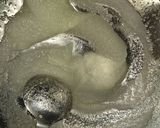 ＨＭ+サラダ油+砂糖の【黄金比クッキー】作り方1写真