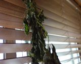 手間なし☆しそ茶作り方1写真