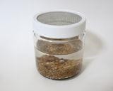 水だけ！発芽豆（豆スプラウト）の作り方作り方1写真
