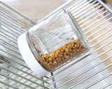 水だけ！発芽豆（豆スプラウト）の作り方作り方2写真