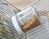 水だけ！発芽豆（豆スプラウト）の作り方作り方3写真